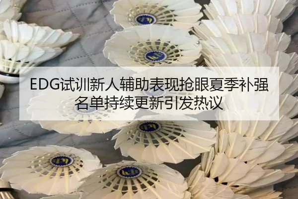 EDG试训新人辅助表现抢眼夏季补强名单持续更新引发热议